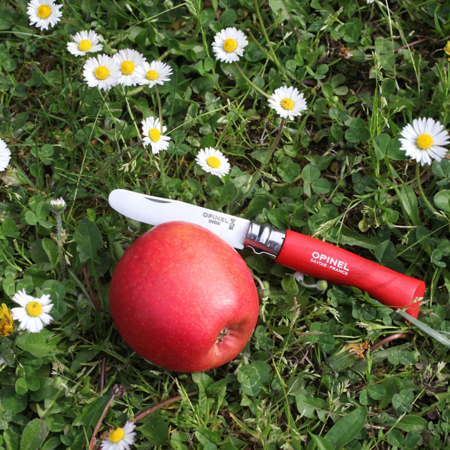 Opinel My First Opinel No.7 Stainless Steel Children’s Folding Pocket Knife with Safety Rounded Tip - Image 5