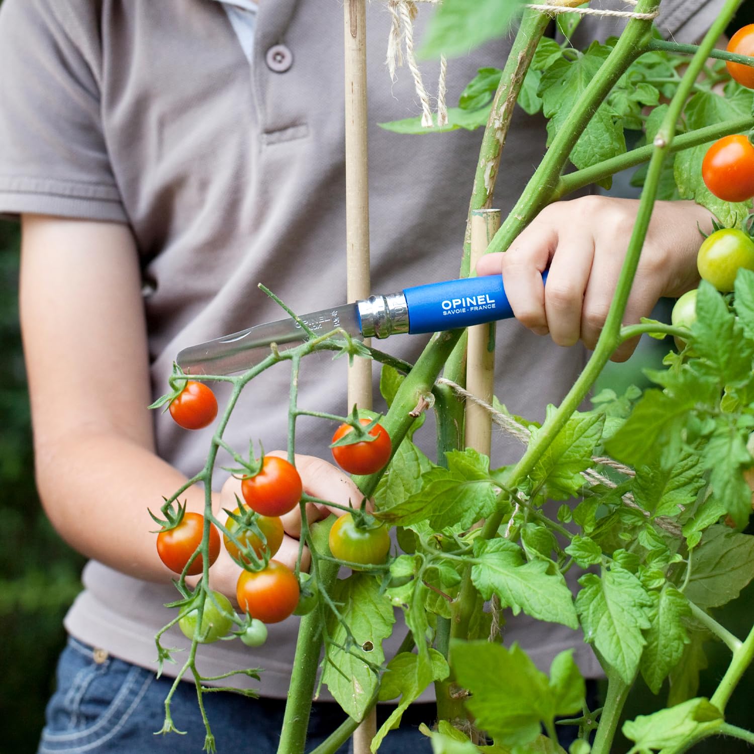 Opinel My First Opinel No.7 Stainless Steel Children’s Folding Pocket Knife with Safety Rounded Tip - Image 6