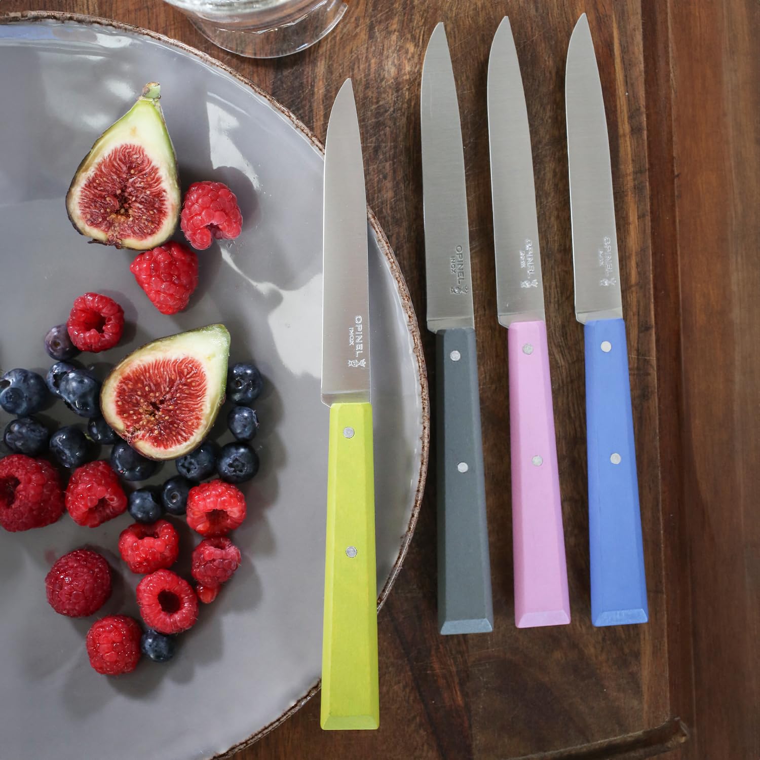 OPINEL No. 125 Table Knives, 4 Piece Set, High Carbon Steel Dinner Knives for Parties, Entertaining, or Everyday Use, Painted Hornbeam Handles, Made in France (Countryside) - Image 3