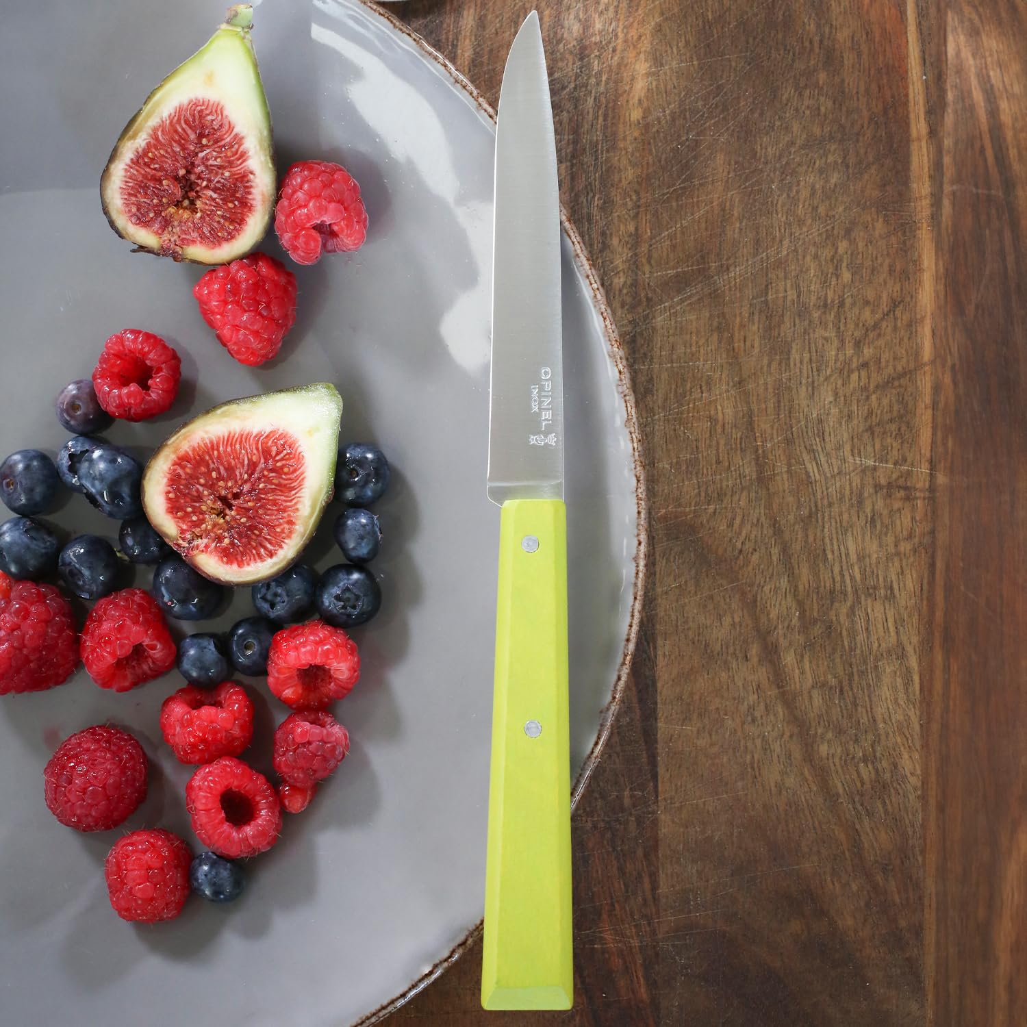 OPINEL No. 125 Table Knives, 4 Piece Set, High Carbon Steel Dinner Knives for Parties, Entertaining, or Everyday Use, Painted Hornbeam Handles, Made in France (Countryside) - Image 7